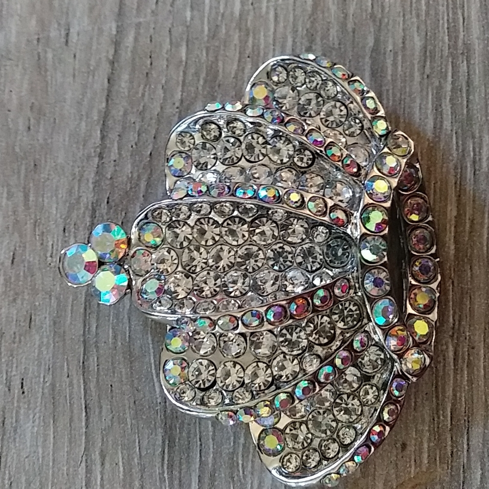Crown brooch